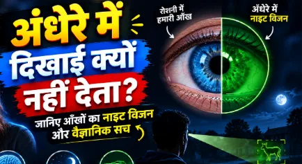 अंधेरे में हमें कुछ दिखाई क्यों नहीं देता? आँखों का विज्ञान